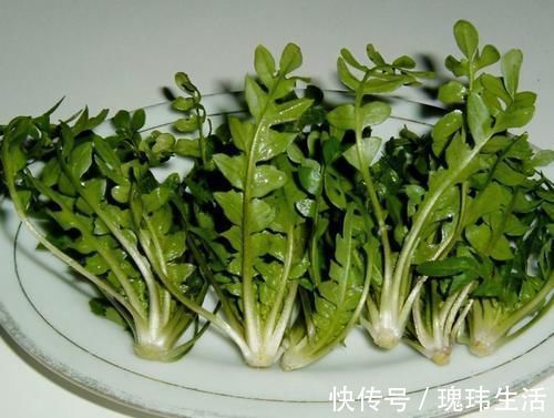荠菜|乡下这“野菜”5块一斤,谁都爱吃,掏钱从不手软,五六斤嫌少了