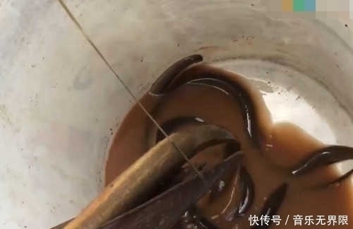 竹竿|男子将竹竿插入水中抓鱼,遭同行村民嘲笑,结果收获不少好东西