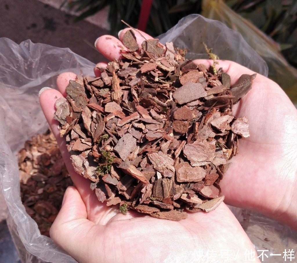 养花土不用买,3种料放在花盆下,就是花卉万能土,养啥旺啥
