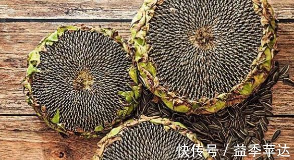 食用禁忌|5大常见坚果的食用禁忌，为了你的健康，希望能早点清楚！