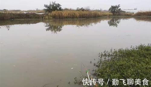 天冷钓不到鱼？那是策略不对路子，5个调整策略，助你板鲫连竿上