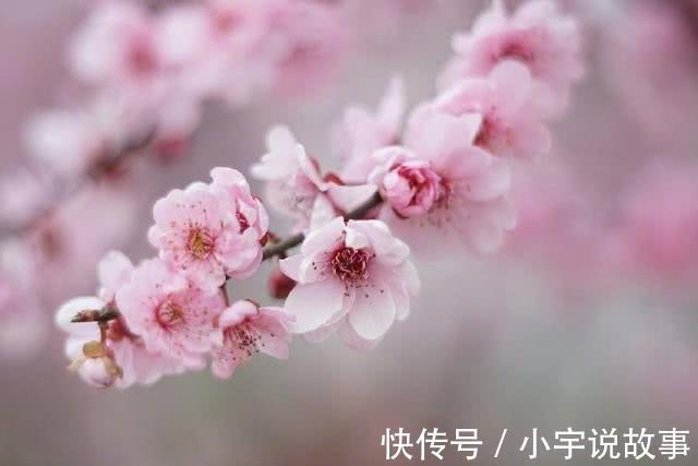 李隆范|六首描写江南的诗词, 带你游遍好风光