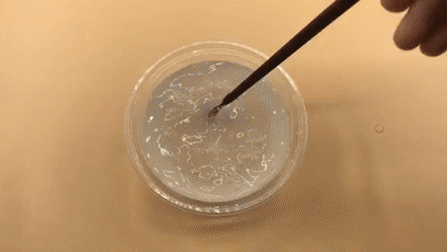 牙膏|风油精加牙膏泡一泡，作用真厉害，解决了家家户户的烦恼，快试试！