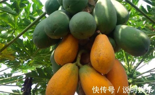 美容|人到中年,不妨多吃3种食物,排毒养颜、美容养颜、滋补身体