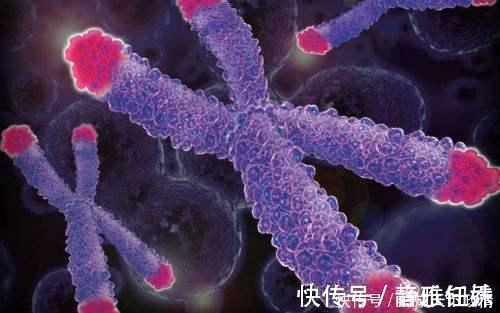 长寿区|40年百岁老人调查长寿之乡的3个关键,和吃和运动没太大关系