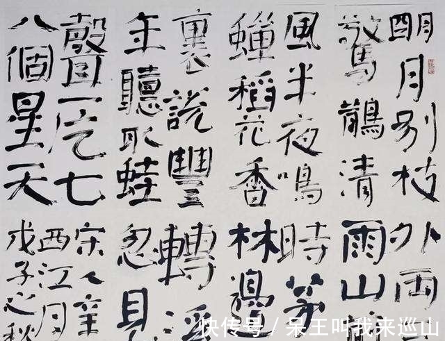 名家$书法名家楷书功底不行,还爱写楷书,这是对颜真卿书法的糟蹋吗?