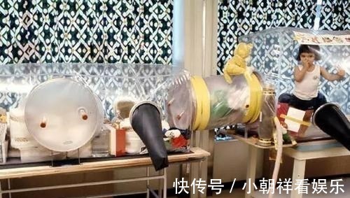 父母|泡泡男孩：生活在隔离罩中12年，临死前才第一次触碰到妈妈