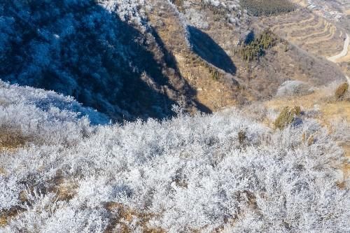 老年|大年初四济南南部山区自驾游，在彩西路旁的劈山邂逅雾凇奇观