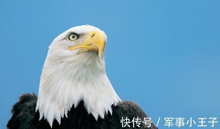 人的价值#大格局从何而来?经常做这三件事就可以了!