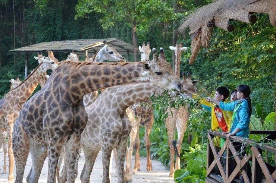 专注|专注力太差，不一定是孩子错，也可能是父母“惹的祸”