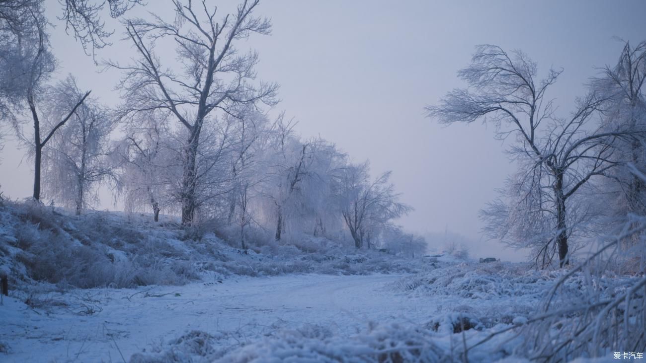 老年|在寂静雪原 遇见雪花真实的形状