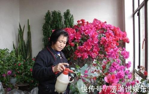 花肥|养花有“门道”,简单实用花长得好,茂盛不烂根开花一茬一茬!