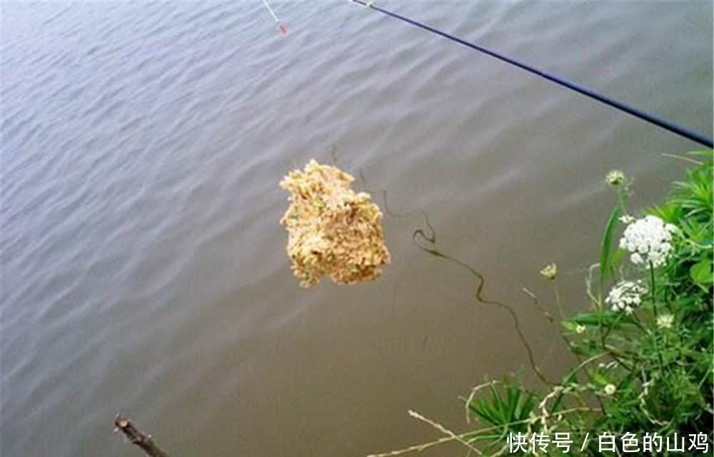 翘嘴|民间手竿钓翘嘴绝杀钓法:鸡蛋糊糊包食钓,钓大翘嘴很给力!