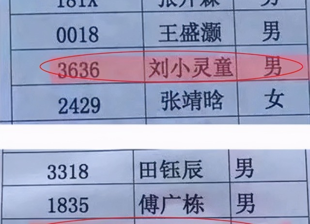 取名|亲妈给娃取名“李凡”,护士手误多添一笔,爷爷:就这个很不错