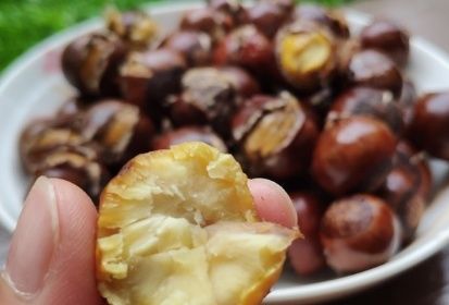 水煮板栗，冷水下锅还是热水下锅？做错了，难怪板栗不易剥还发硬