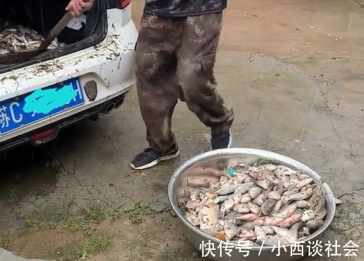 河道|江苏一河道鲫鱼“大爆发”,有人装了一后备箱,网友:是个人才