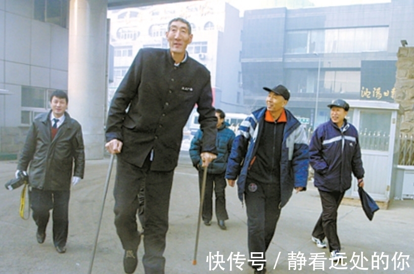 夏淑娟|身高2米36的巨人鲍喜顺,12年前不听医生劝阻生下儿子,赌对了吗