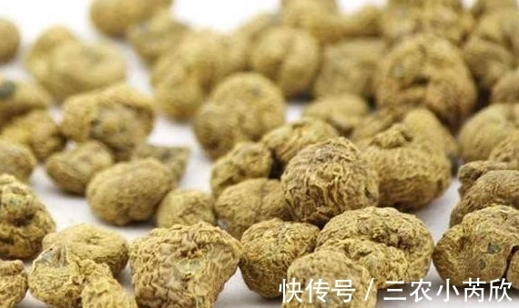 农村|有一种农村野草,以前一直被忽略,现在卖到30元一斤!