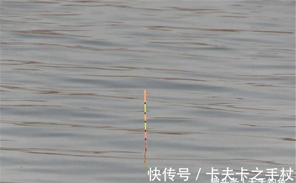 冬钓鲫鱼,调漂有2小原则,调漂不当全是空枪,调漂得当连竿上鱼