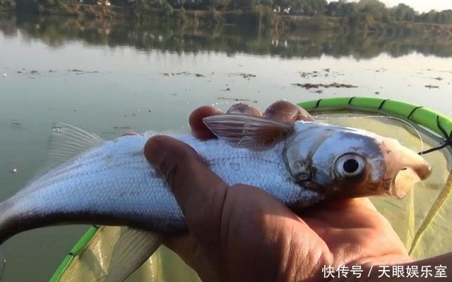 野钓人多时如何提升渔获?爆护难但有好收获不难