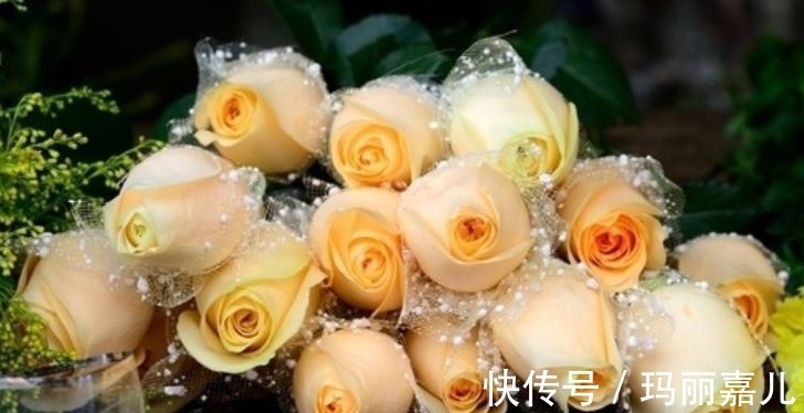 聪明人都养“4种花”,花姿妖娆,四季繁花似锦,美