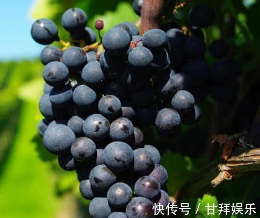 男人|男人的天然“不老药”, 每天吃一点, 补充雄激素, 让你肾动力十足