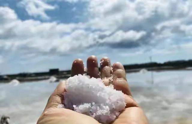 农谚|2021年不一般，今年冬天雪多吗？就看八月十二三，农谚俗语有预兆