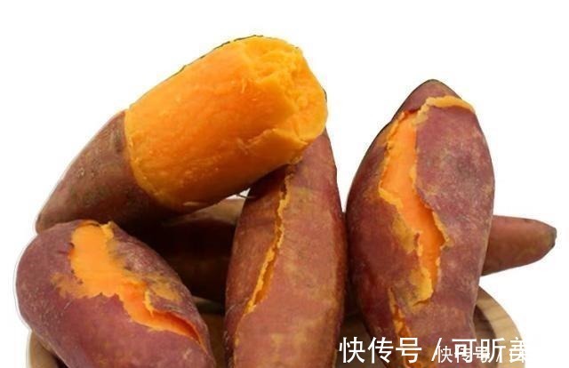 红薯|钓了18年鱼后才明白,红薯经过这样“加工”以后,钓大鲤鱼特有效!