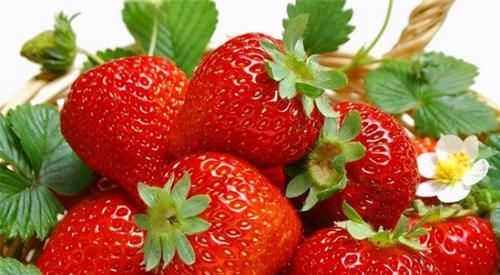  排毒|冬天养生，推荐常吃3种食物，排毒养肝、滋补身体，有益健康