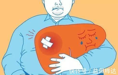 肝脏健康|别等到肝不好再来调,5个养肝方法,把肝一天一天“补回来”