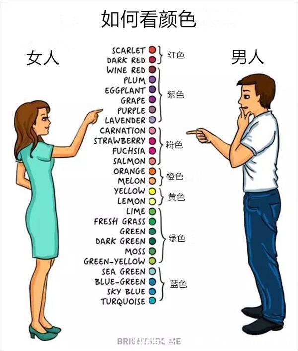 |搞笑男女本质区别