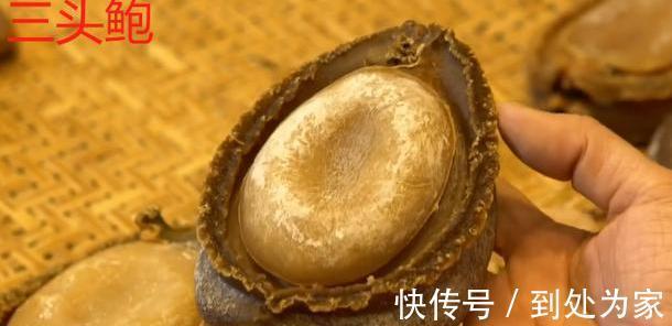 海產(chǎn)品|真正鮑魚(yú)中的幾頭鮑是什么樣的？