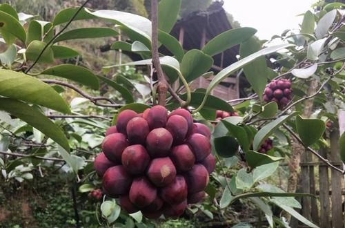 体质|冬天要坚持多吃3种食物，排毒养颜、改善体质，早吃早好！