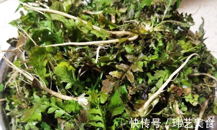 冬天，遇见此菜别手软，一次多囤点，放冰箱冻起来，过阵子就少了