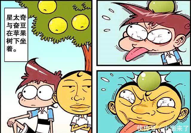 泽泽|“情缘福袋”竟是脱单神器?结果奋豆用力过猛女神变成“秃头妹”