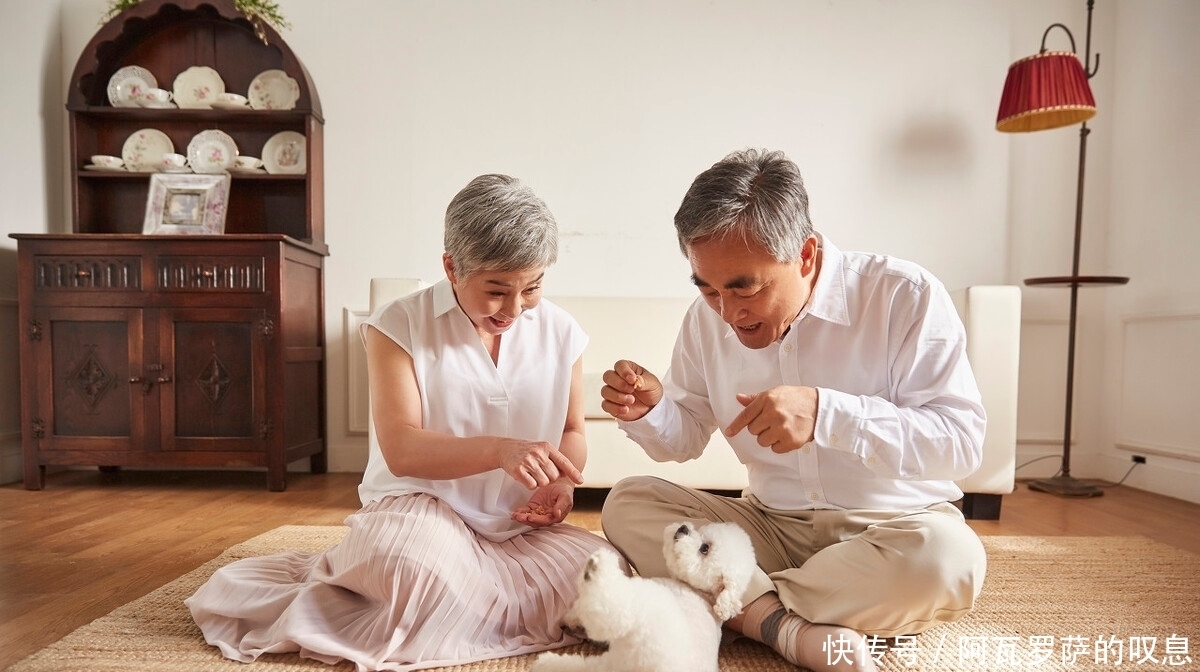 答案|一辈子不生孩子会怎样?国内首批丁克家庭的晚年生活,给出了答案