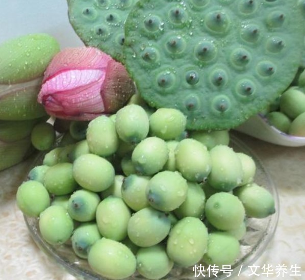 作用|莲子被视为滋补元气的珍品,用作食疗,具有多种保健功能