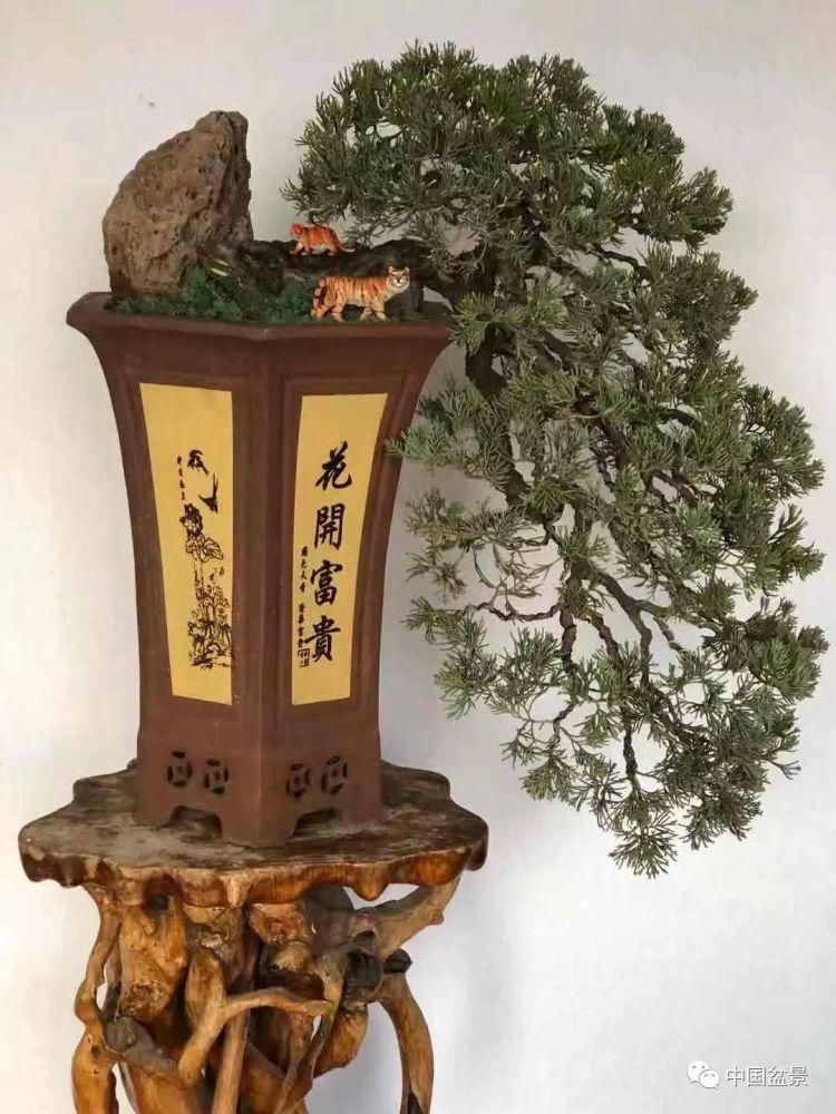 赏玩盆景，一定要是有德之人