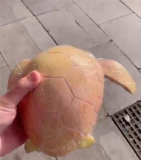 妈妈|幼儿园作业“水果动物”逼疯家长,硬核妈妈巧妙构思,绝了