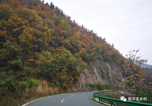 公路|洛南秦岭大山里的自驾公路，路边全是美景，只是在深山没人知道！