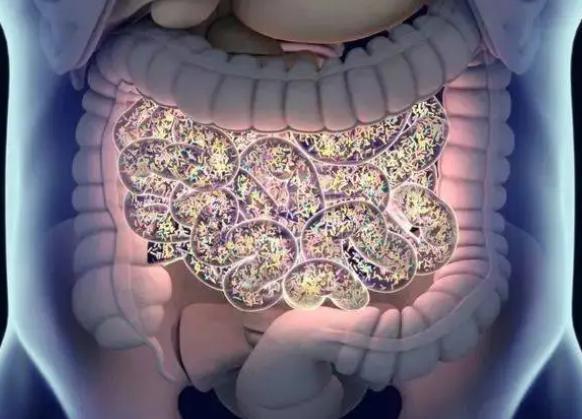 蒲公英|男人,出现5种迹象,说明已经老了,哪怕只占了1个,也要开始保养