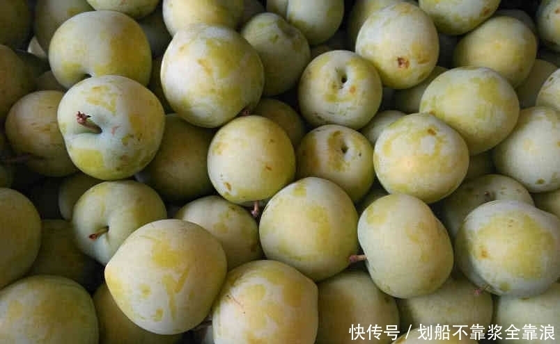 抗衰老|它既抗病又抗衰老,被称为“超级水果”,却有很多人不喜欢吃!