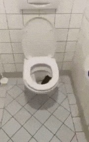 |搞笑GIF:妹子你这跳高脚怎么着地的,隔着屏幕都感觉一阵疼