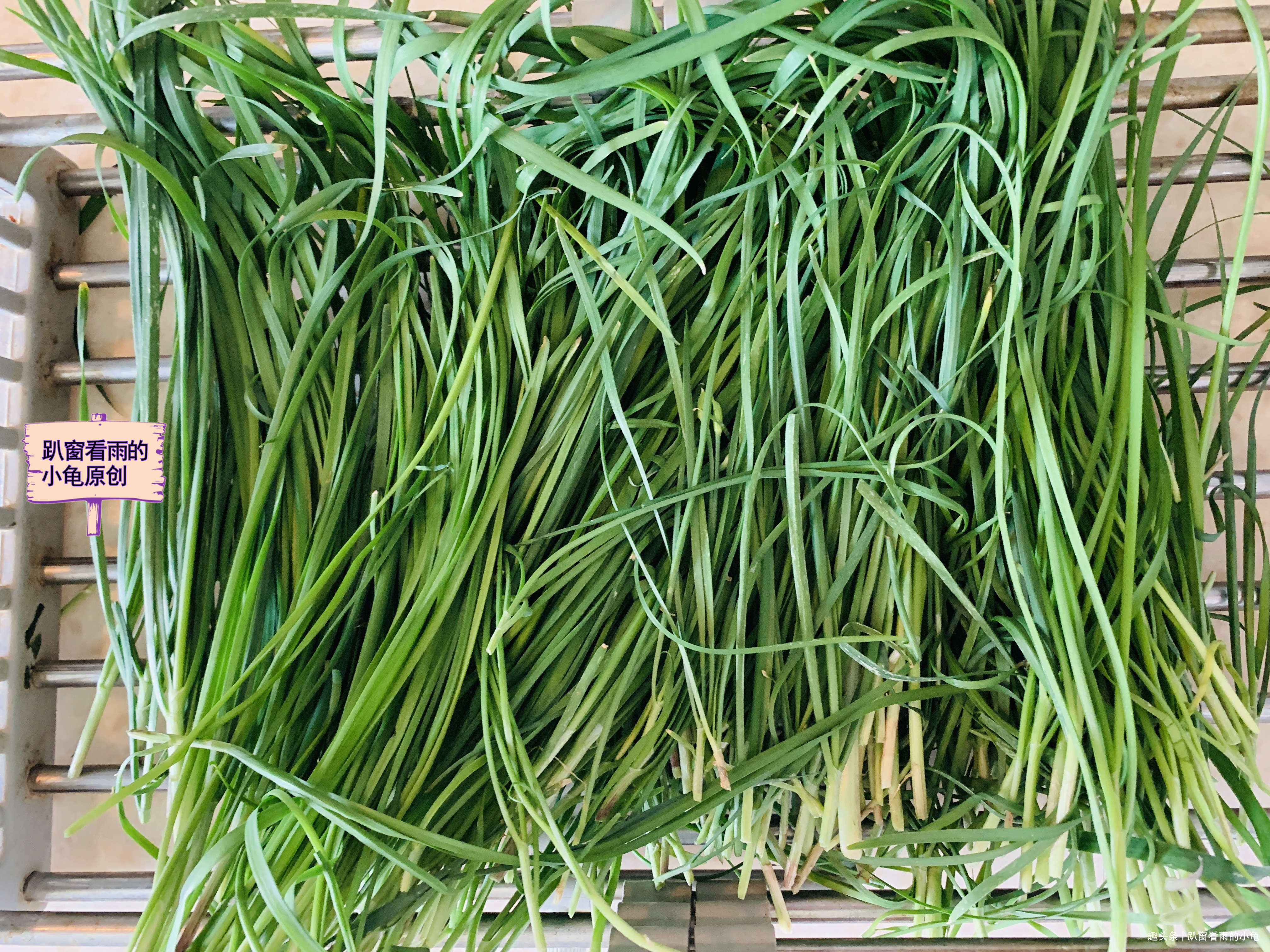 秋天，韭菜腌着吃，是三餐必备的百搭小菜，开胃下饭，放一年不坏