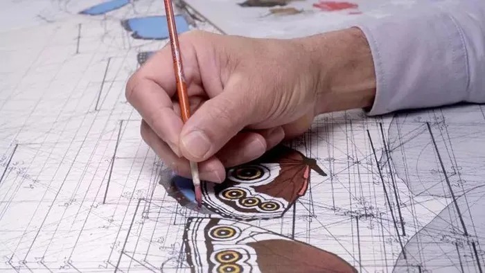 委内瑞拉理工男40年的震撼之作: 惊艳至极