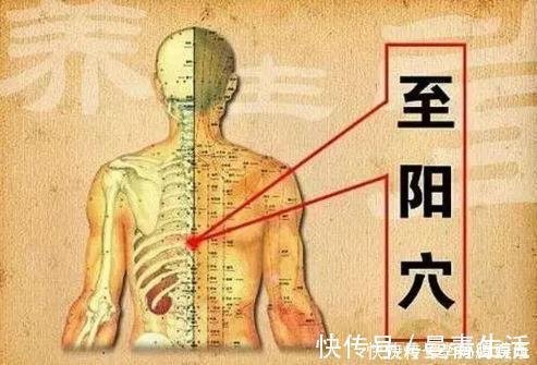 杨起|发现了打开人体阳起的''金钥匙''，没事拍一拍，有助身体更健康