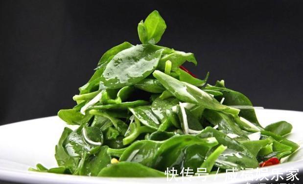 此“吊兰”不一般，剪根枝条插土里，既能当花看，又能当菜吃
