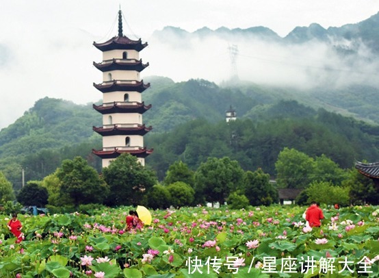 机遇|11月中旬，喜鹊报喜，4属相吉星照耀，机遇多多，生活锦上添花