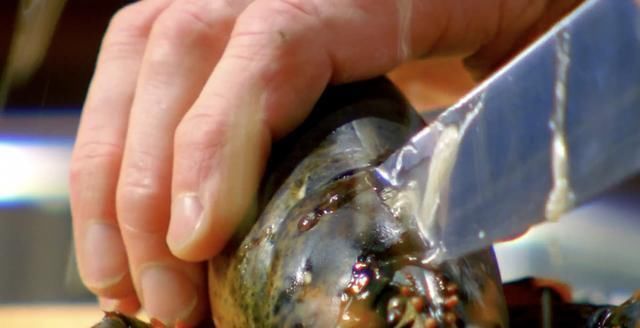 米其林|米其林大厨戈登拉姆齐，完美无痛拆龙虾肉，只需7步骤轻松上手