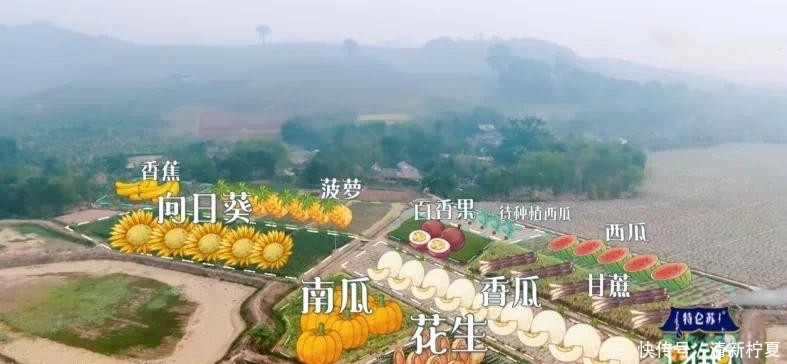 《向往的生活5》开始录制,新一季的蘑菇屋,还会和第四季一样吗